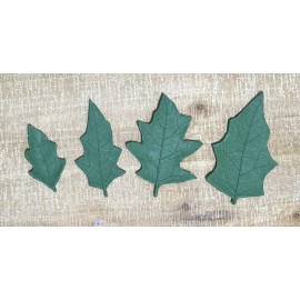 Pumpkin Leaves (set of 4)